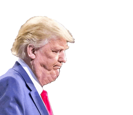 Donald Trump with exaggerated seven chins arranged in a humorous and satirical manner. The background is neutral and simple. The tone is mocking and playful. No visible text in the image.